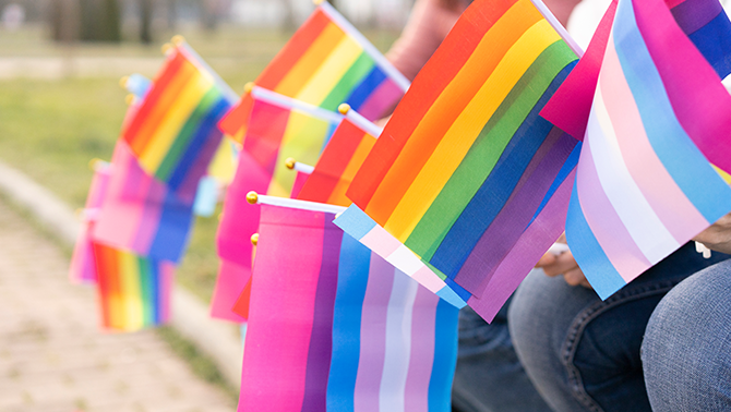 group sitting on curb with pride flags, trans flags, and nonbinary flags